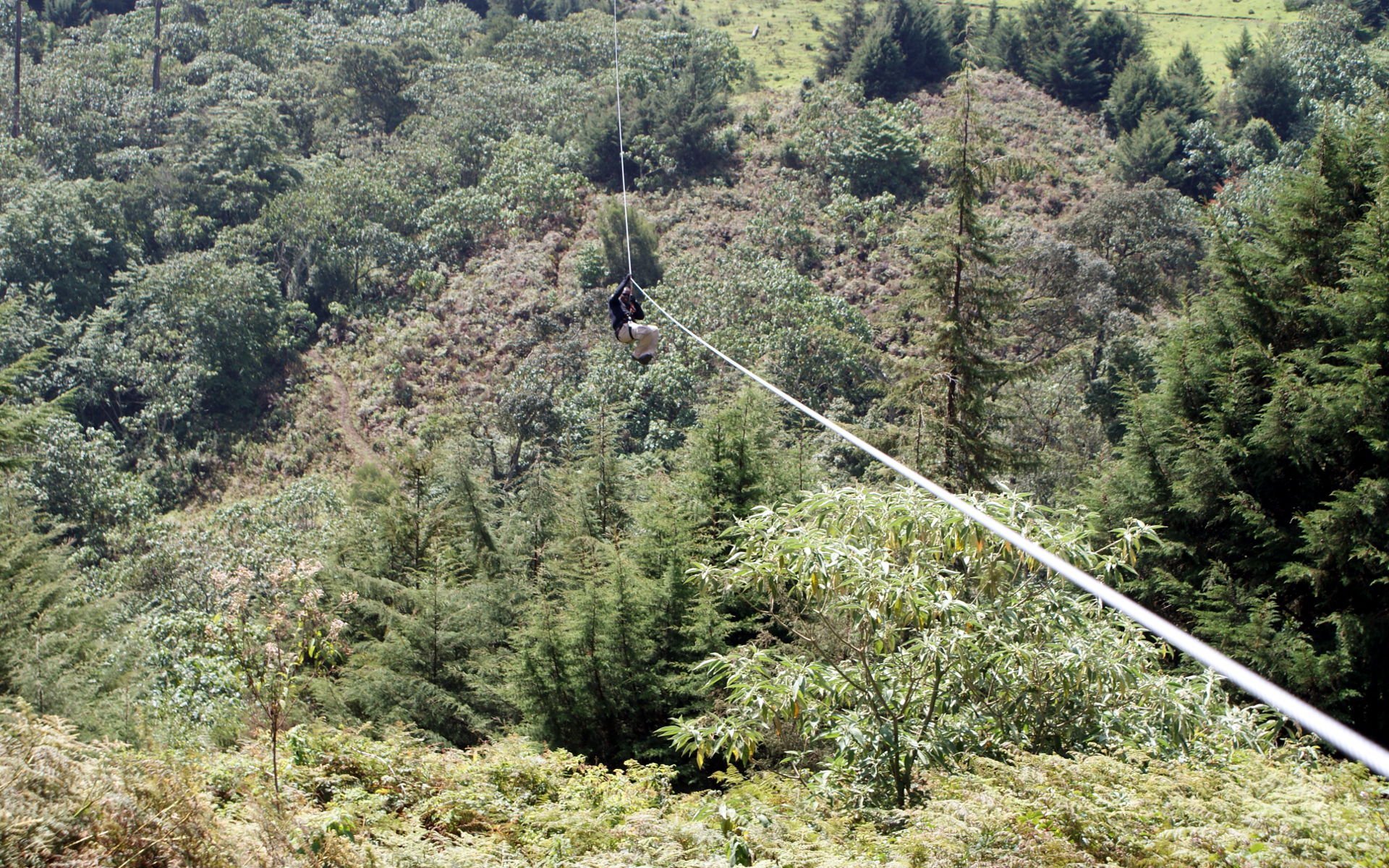 Kereita Forest - Ziplining - forests in Kenya
