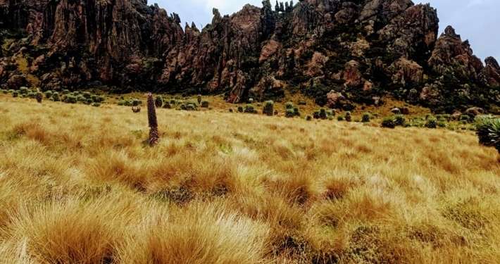 Mountains-in-Aberdares-National-Park-and-Forest-Reserve