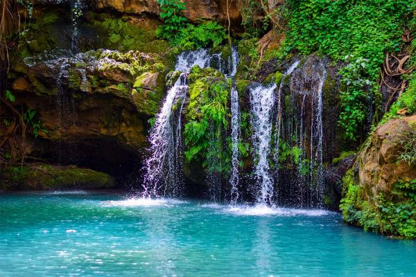 Waterfall at Ngare Ndare Forest Reserve