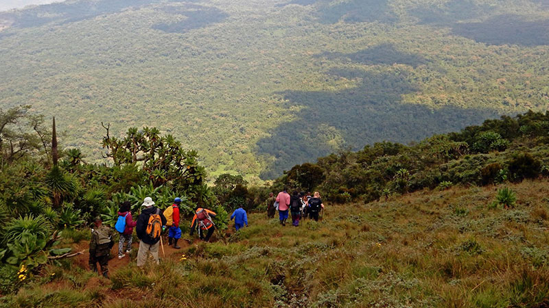 Conquer Mount Bisoke: Hiking an Active Volcano and Tips for Breathtaking Views 14 Hike to Mt Bisoke