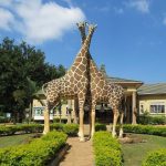 Entebbe Ugandas Getway